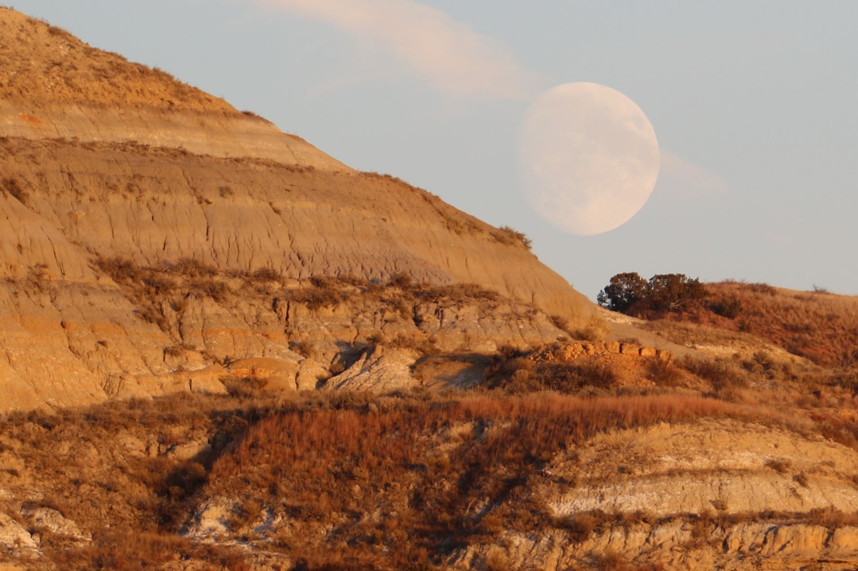 Moon Rising